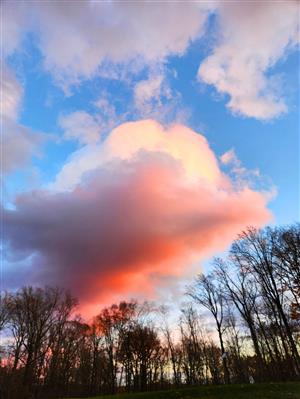 Cloud